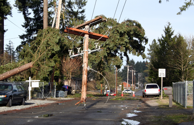 Power line damage in Dallas