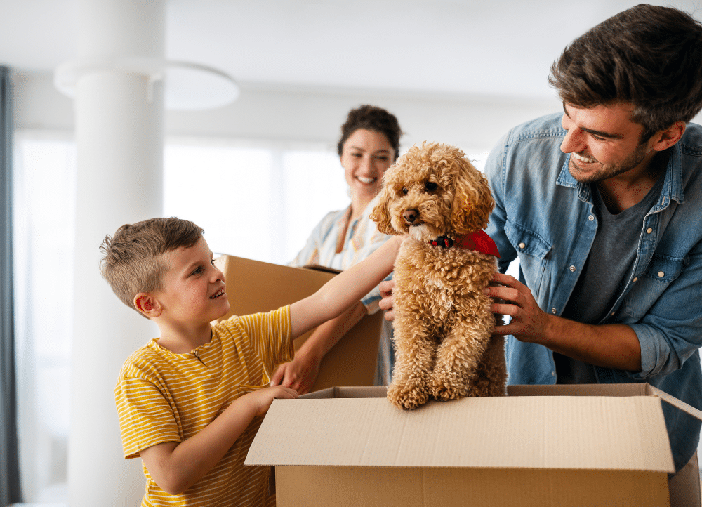 A Guide to Moving With Pets