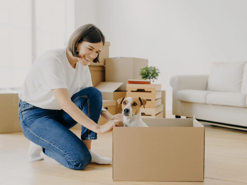 Woman smiling at her dog who is sitting in a cardboard moving box.