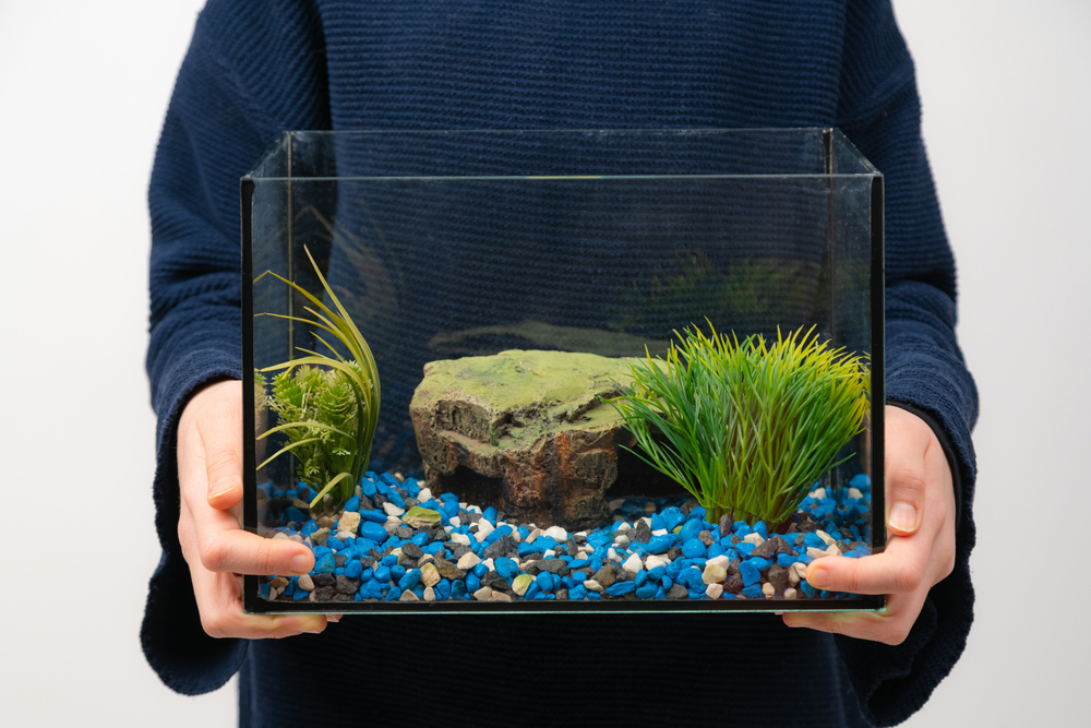 6 Steps to Safely Moving a Fish Tank in Jacksonville