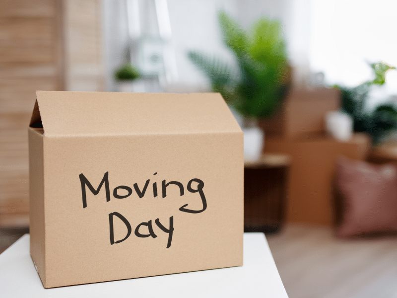 Cardboard box labeled Moving Day sitting on a counter.