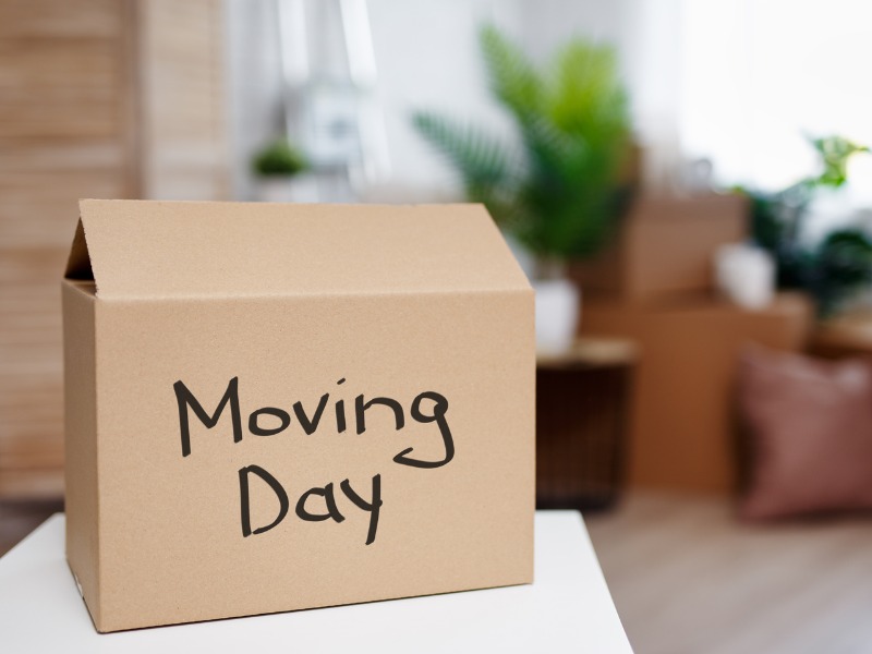 Moving Day