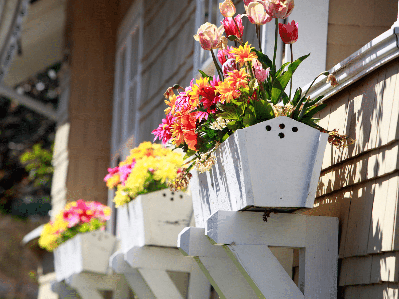 Spring Flowers Outside of Home