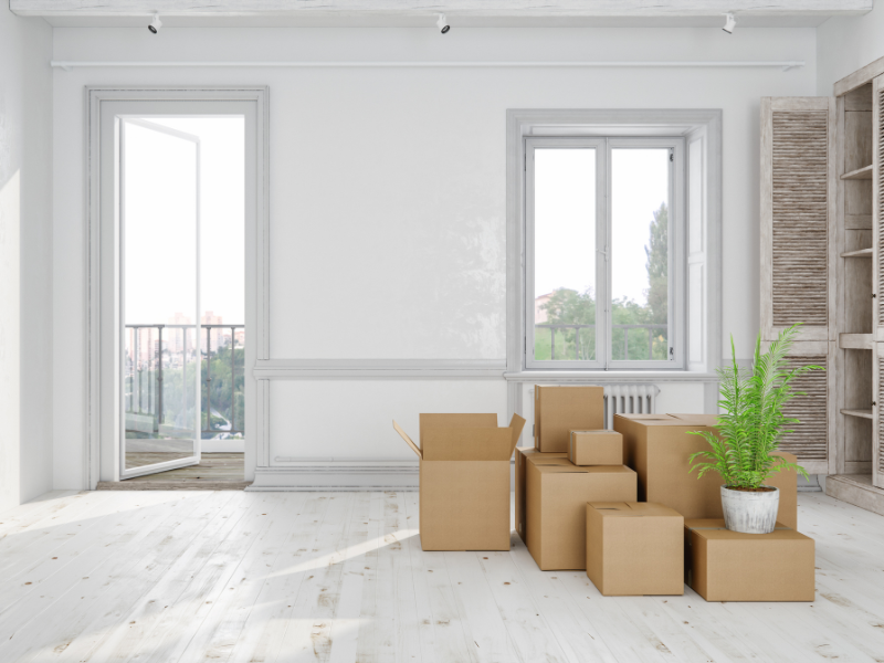 Navigating a Last-Minute Move