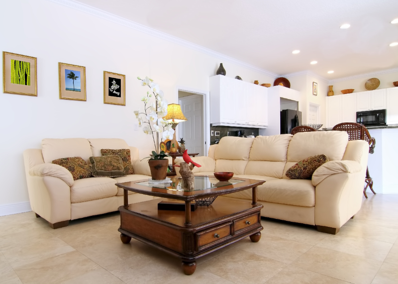 Couches in a living room.