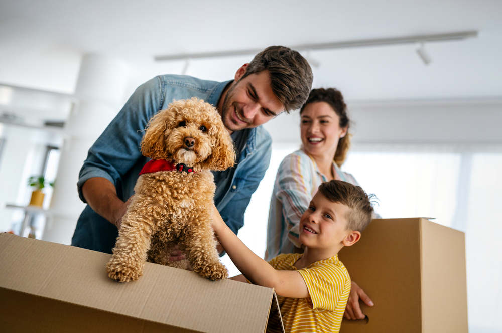 Man and woman smile down at a young boy petting a dog.