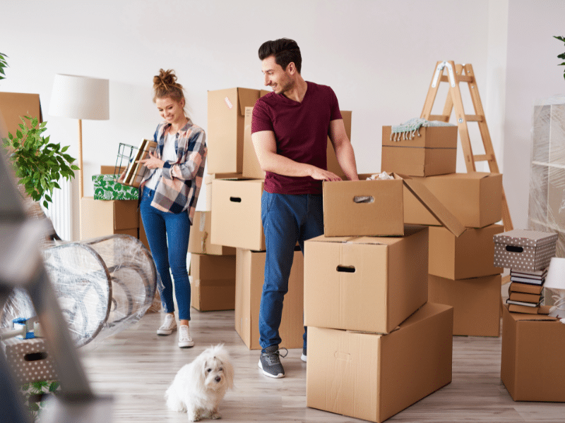 Couple packing boxes in their living room as their dog sits on the floor.