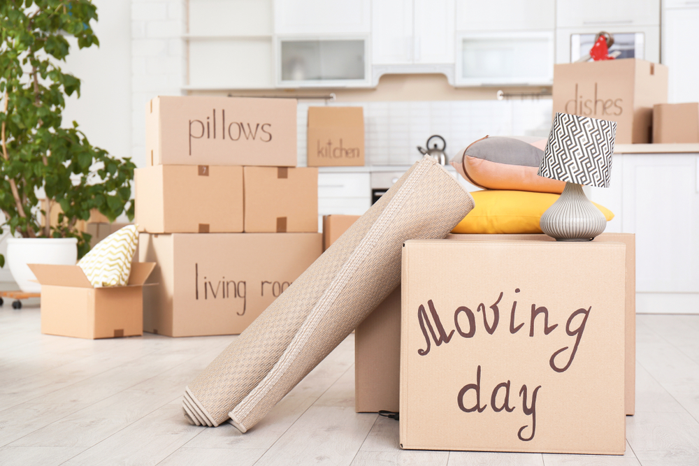 Cardboard box labeled Moving Day with a small lamp and pillows lying on top of it and a rug leaning against it with other labeled cardboard boxes behind it.