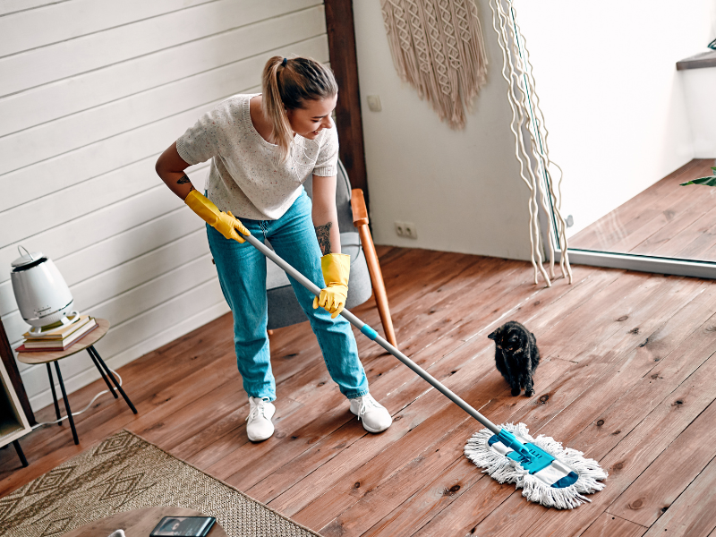 a woman Spring Cleaning with her cat