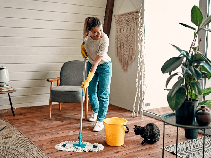 A lady Spring Cleaning