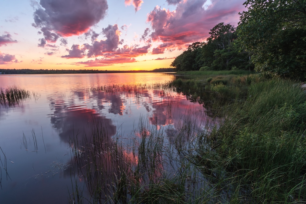 Exploring Bridgewater, Massachusetts: Your Guide to Fall Adventures