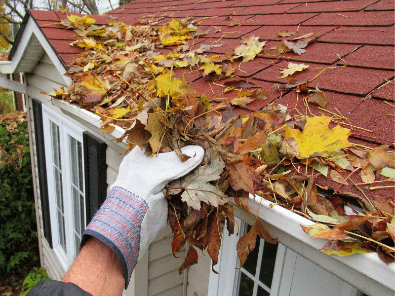 Transform Your Home With These Fall Cleaning Tips