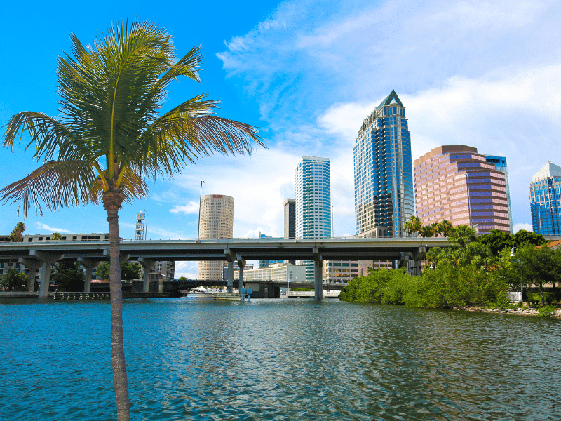 Units of Tampa Bay city overlooking the water